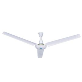 Fan Ceiling White 56" KBDS56-10 Kedbrooke