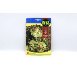 Fito Seeds Lettuce Summer Marvel Ref no. 208 