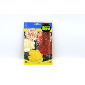Fito Seeds Carnation Giant Carmine Ref no. 639 