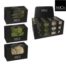 MICA Reindeermoss 3 Assorted Colors 50gr L14.5