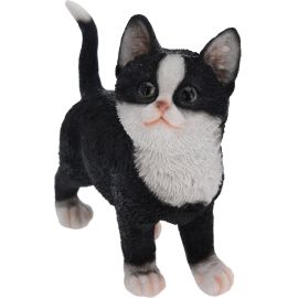 Cat Polystone 3Asstd Design 795001510