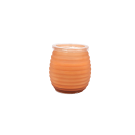 Citronella Patio Glass Jar Candle WW243 WaxWorks