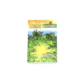 Franchi Golden Seeds Organic Lettuce Bionda Ricciola BIO75/1