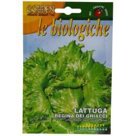 Franchi Golden Seeds Organic Lettuce Regina Ghiacci BIO86/8