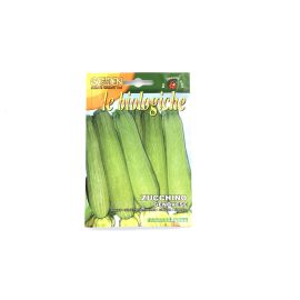 Franchi Golden Seeds Organic Squash Genovese BIO146/10