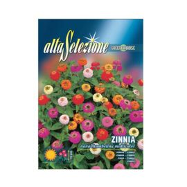Alta Seeds Flower Zinnia Dwarf Thumbelina Mixed AFS 358/10