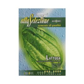 Alta Seeds Veg. Lettuce Bionda Ortolani AVS 84/4