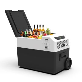Frozen Portable Fridge Compressor Type 12V 30Ltrs FC30-P FC5013-P Premium