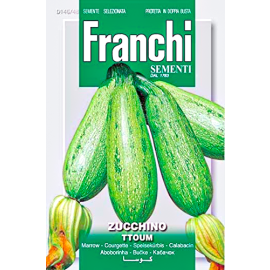 Seeds Veg. Squash Type Lebanese Zucchino FVS 146/48 Franchi