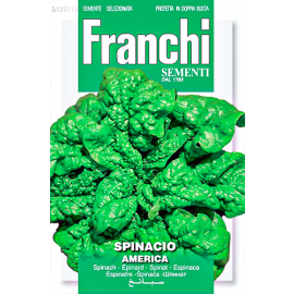Seeds Veg. Spinacio America FVS127/18 Franchi